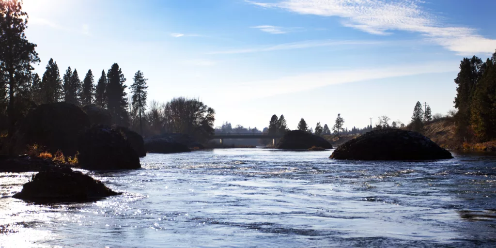 A river flows under a bridge, surrounded by trees and large rocks, with a clear blue sky above.
